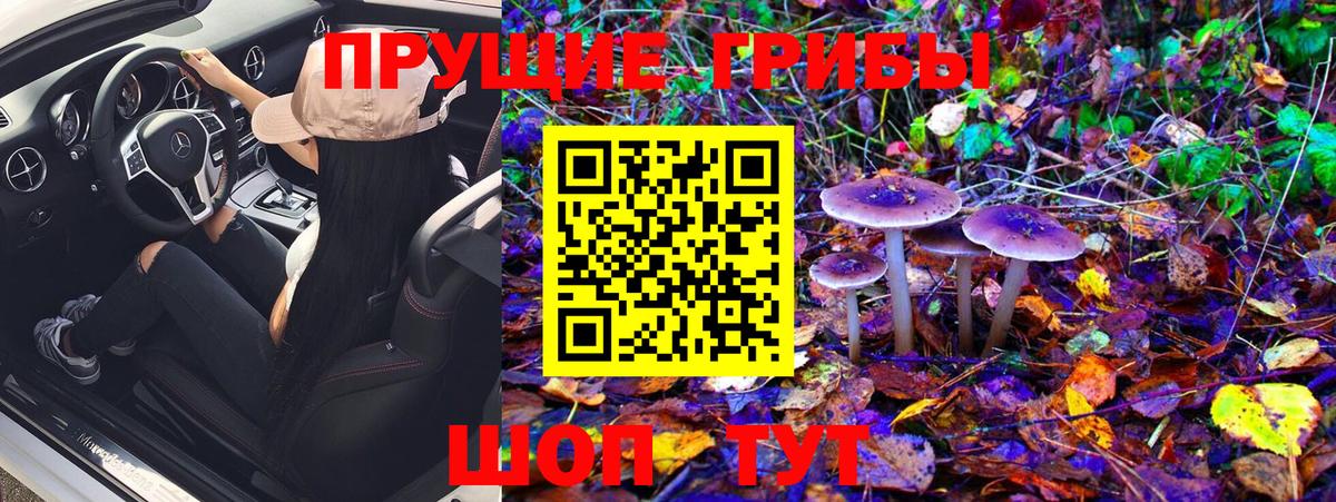Верхняя Пышма  Псилоцибиновые грибы GOLDEN TEACHER  Галлюциногенные грибы прущие грибы  Вход с VPN 
