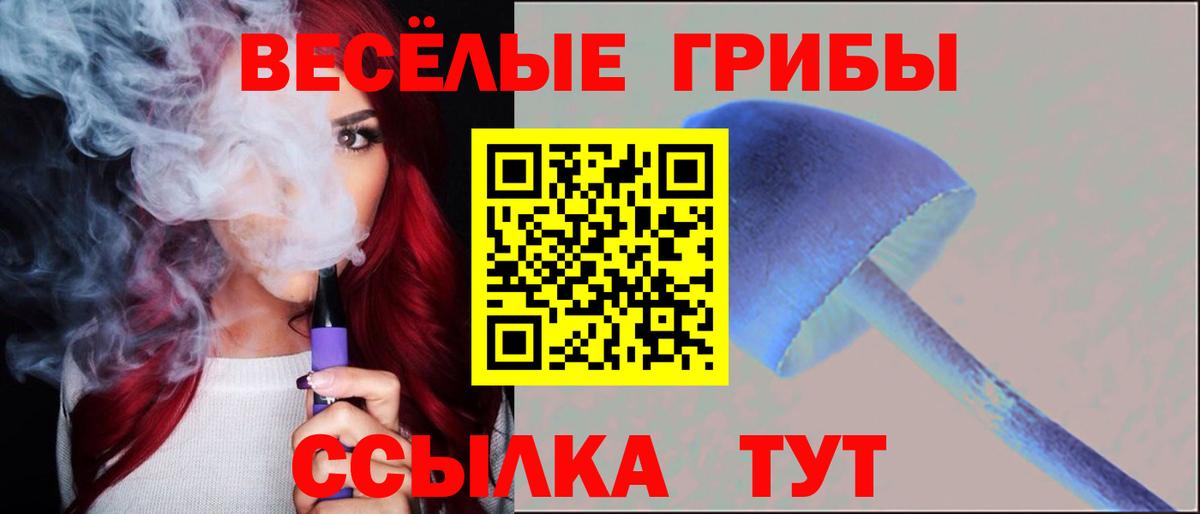 Псилоцибиновые грибы мухоморы Верхняя Пышма